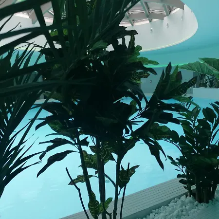 Hanza Tower Apartment-basen 公寓 什切青