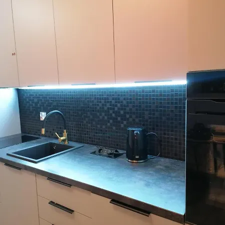 Hanza Tower Apartment-basen 公寓 什切青