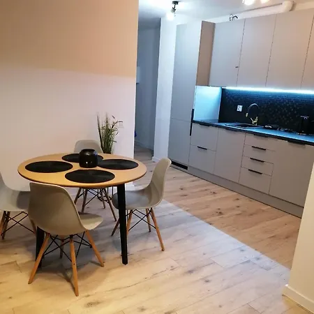 Apartment Hanza Tower Apartment-basen