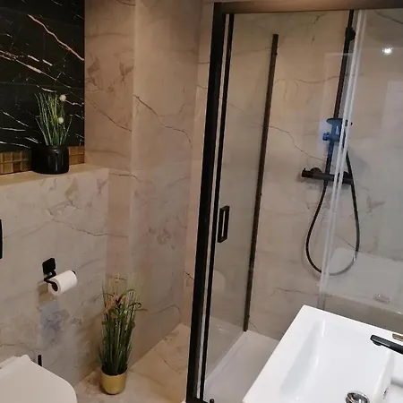 Hanza Tower Apartment-basen 公寓