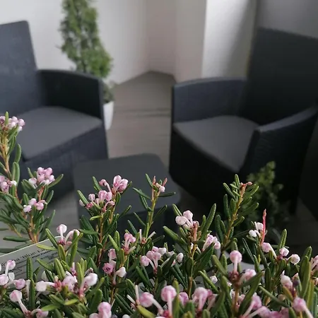 Hanza Tower Apartment-basen 아파트