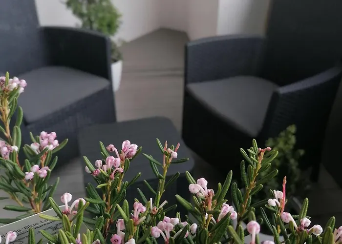 Hanza Tower Apartment-basen 아파트